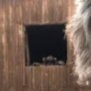 Meet your Posher, Lily